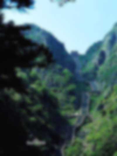 泰山