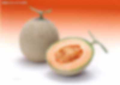 哈密瓜